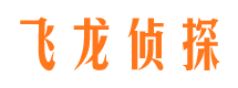 银海侦探